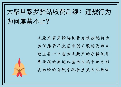 大柴旦紫罗驿站收费后续：违规行为为何屡禁不止？