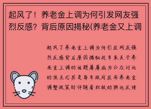 起风了！养老金上调为何引发网友强烈反感？背后原因揭秘(养老金又上调了是真的吗)