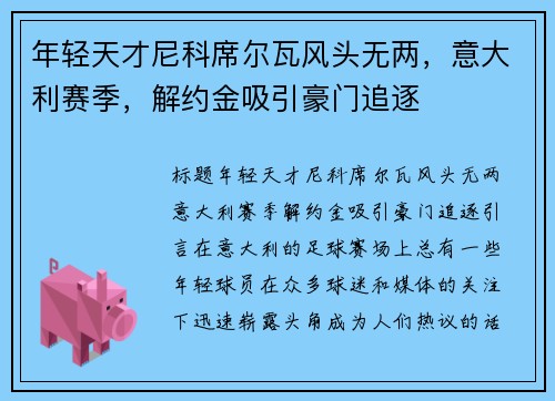 年轻天才尼科席尔瓦风头无两，意大利赛季，解约金吸引豪门追逐